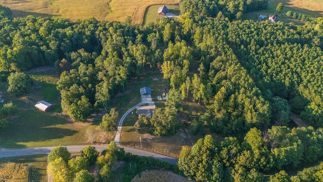 960 Knob Creek Rd, Lawrenceburg, TN 38464 - view of property location with a heavily wooded area