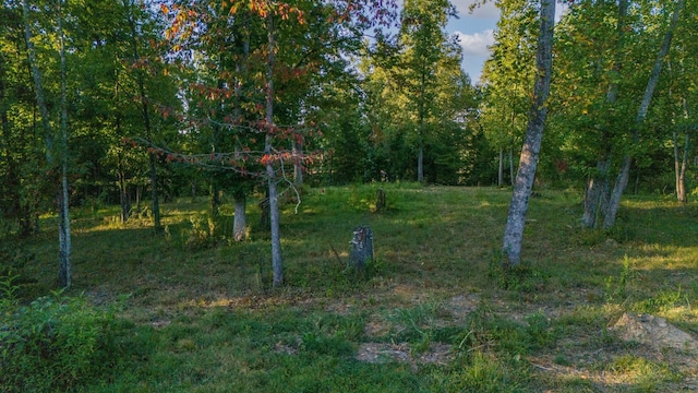 960 Knob Creek Rd, Lawrenceburg, TN 38464 - view of yard