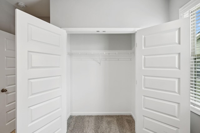 325 Carver Connection, Lebanon, TN 37087 - view of closet