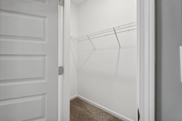 spacious closet with carpet flooring