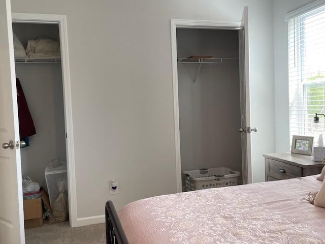 1401 Walker Way, Columbia, TN 38401 - bedroom featuring light carpet, multiple windows, a walk in closet, and a closet