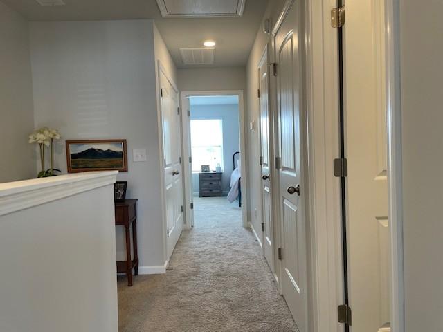 1401 Walker Way, Columbia, TN 38401 - hallway featuring attic access, light carpet, and baseboards