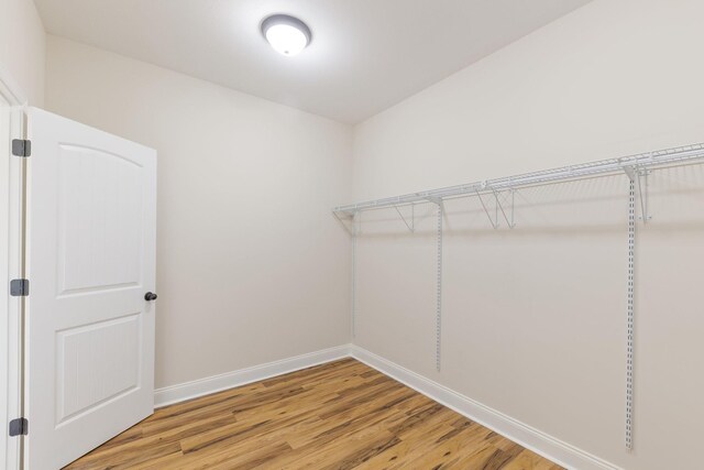 258 Jesse Dr, Pleasant View, TN 37146 - walk in closet with light wood-style floors
