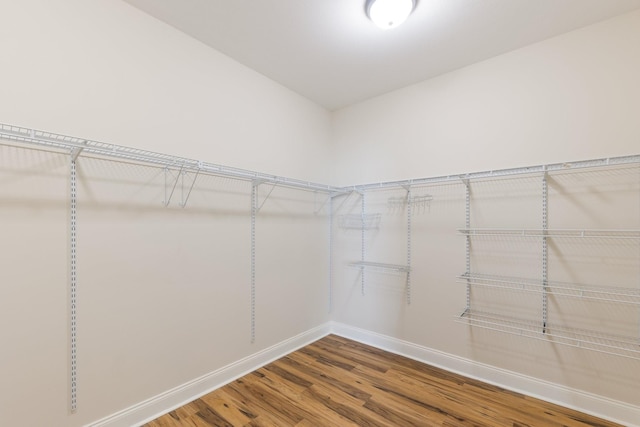 258 Jesse Dr, Pleasant View, TN 37146 - walk in closet with wood finished floors