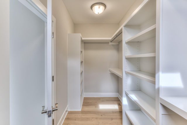 4109 Fargo Ct, Murfreesboro, TN 37127 - walk in closet with light wood-style floors