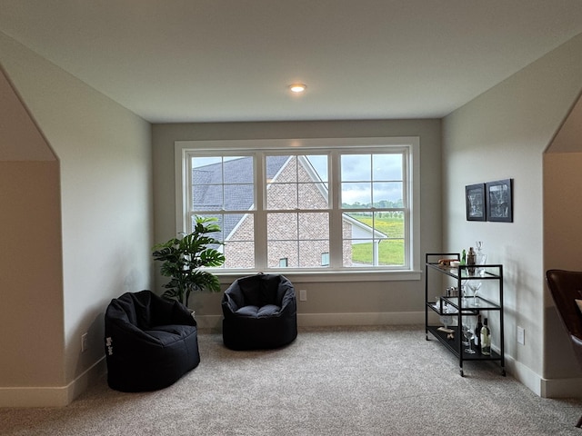 4109 Fargo Ct, Murfreesboro, TN 37127 - living area featuring carpet floors, baseboards, and recessed lighting
