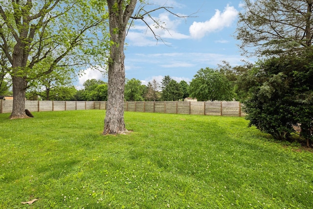 2506 Morgan Rd, Murfreesboro, TN 37129 - view of yard