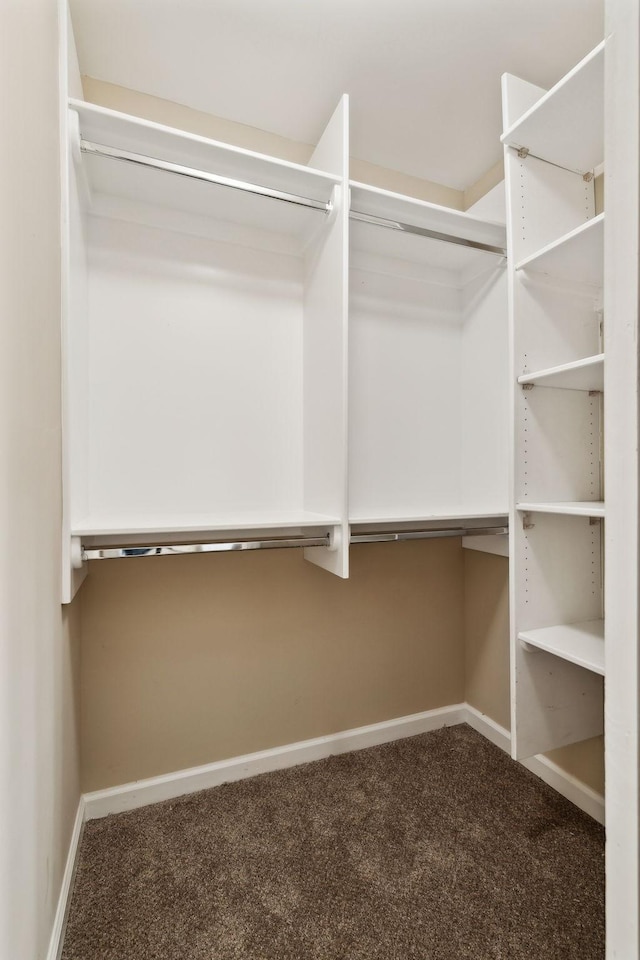 2506 Morgan Rd, Murfreesboro, TN 37129 - spacious closet featuring carpet floors