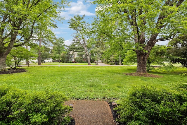 2506 Morgan Rd, Murfreesboro, TN 37129 - view of green lawn