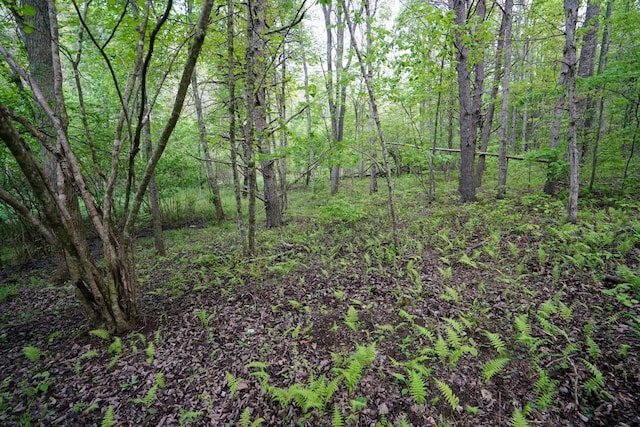 0 Glade Pl, Monterey, TN 38574