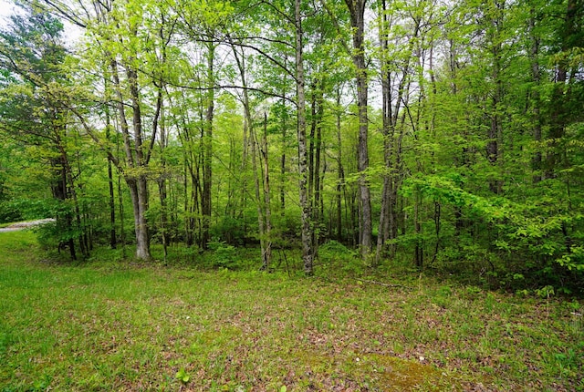 0 Glade Pl, Monterey, TN 38574