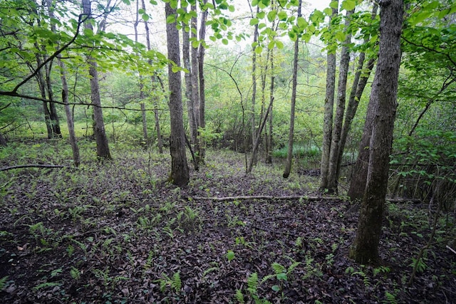 0 Glade Pl, Monterey, TN 38574