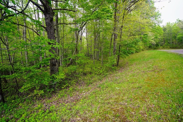 0 Glade Pl, Monterey, TN 38574