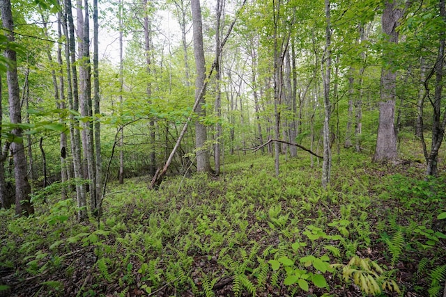 0 Glade Pl, Monterey, TN 38574