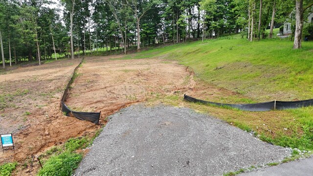 0 Joyce Ave, Lewisburg, TN 37091 - photo 6