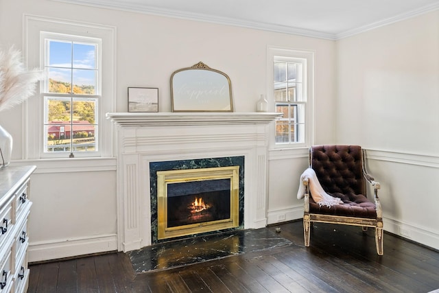 2133 Allisona Rd, Eagleville, TN 37060 - sitting room featuring ornamental molding, plenty of natural light, a high end fireplace, and hardwood / wood-style flooring