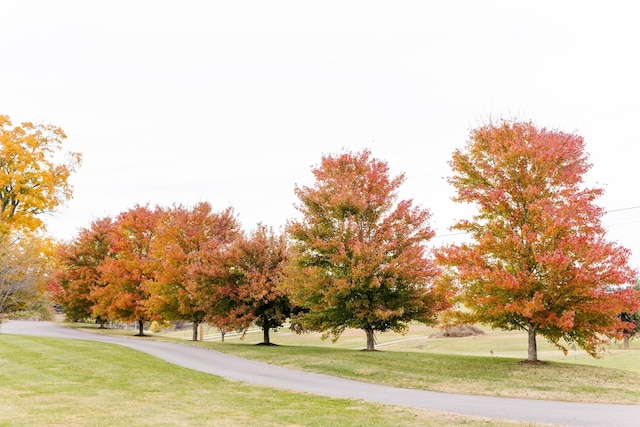 2133 Allisona Rd, Eagleville, TN 37060 - view of property's community with a lawn