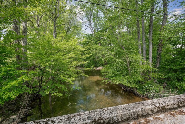 view of undeveloped land