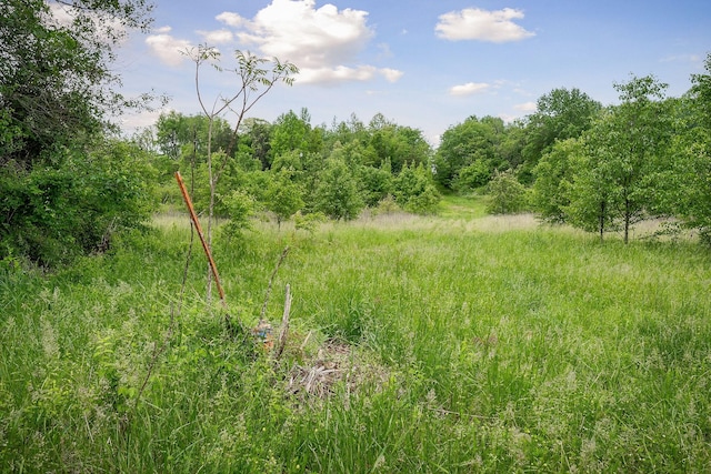 view of woods