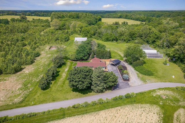 view of property location with a forest