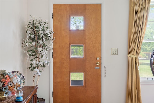 511 Catalina Dr, Nashville, TN 37217 - view of entryway