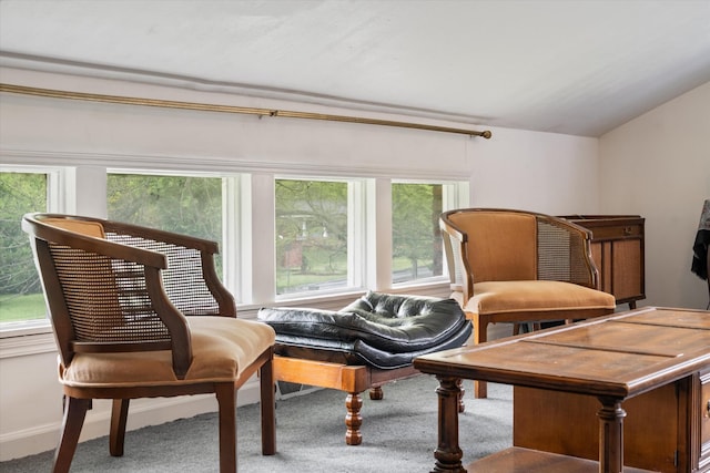 511 Catalina Dr, Nashville, TN 37217 - living area featuring carpet, plenty of natural light, and vaulted ceiling