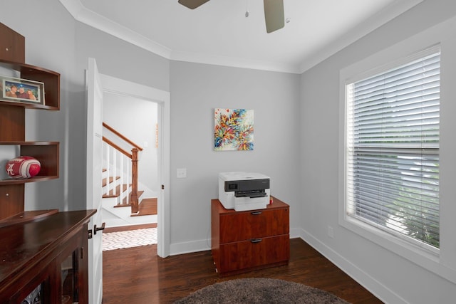 6105 Obrien Ave, Nashville, TN 37209 - photo 8