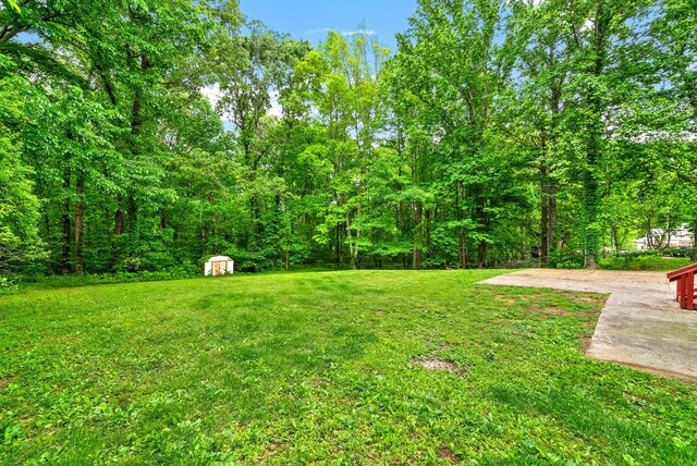 938 Merritt Lewis Ln, Clarksville, TN 37042 - view of grassy yard featuring a shed and an outbuilding