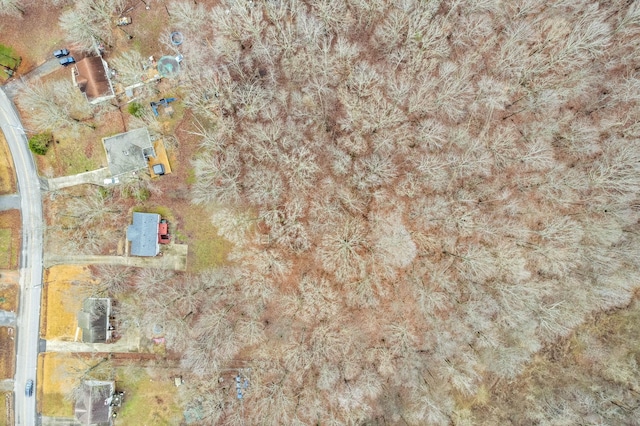 938 Merritt Lewis Ln, Clarksville, TN 37042 - aerial view