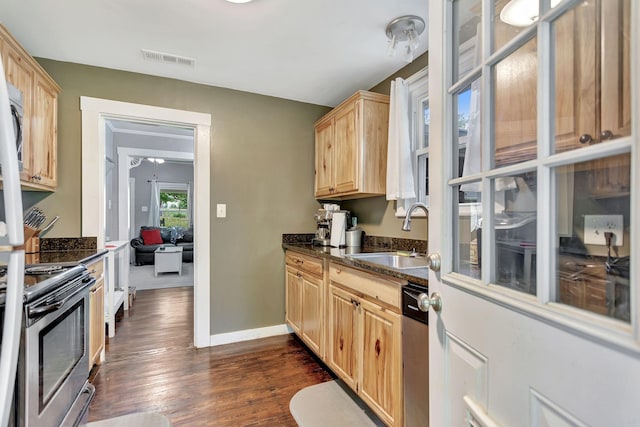 304 5th Ave, Columbia, TN 38401 - kitchen featuring a sink, light brown cabinets, stainless steel appliances, dark wood-style flooring, and baseboards