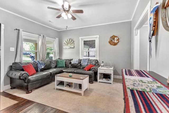 304 5th Ave, Columbia, TN 38401 - living area with a ceiling fan, crown molding, baseboards, and wood finished floors