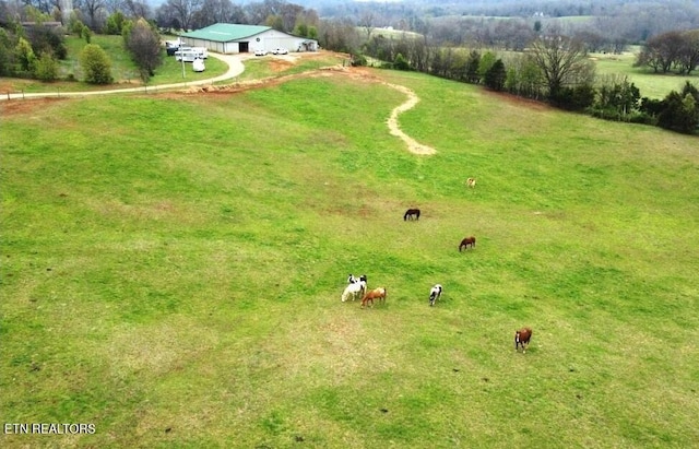 overview of rural landscape