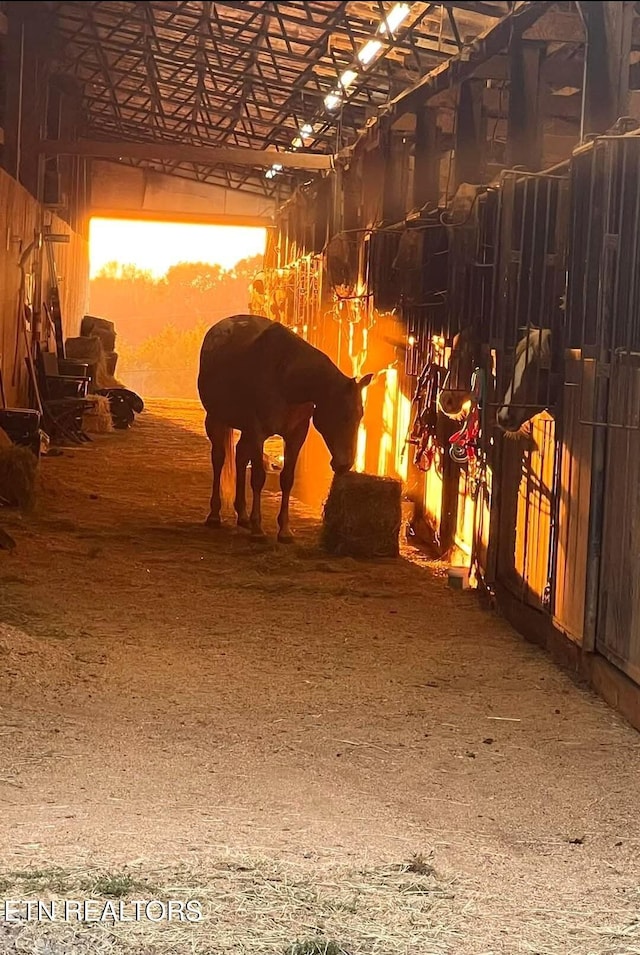 view of horse barn