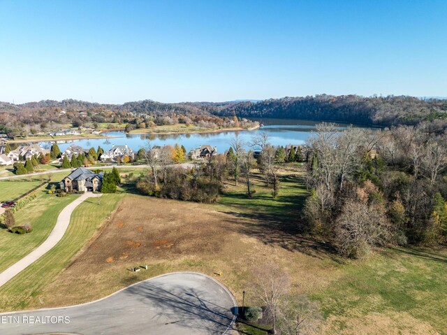 3641 Lashbrooke Way, Louisville, TN 37777 - photo 6
