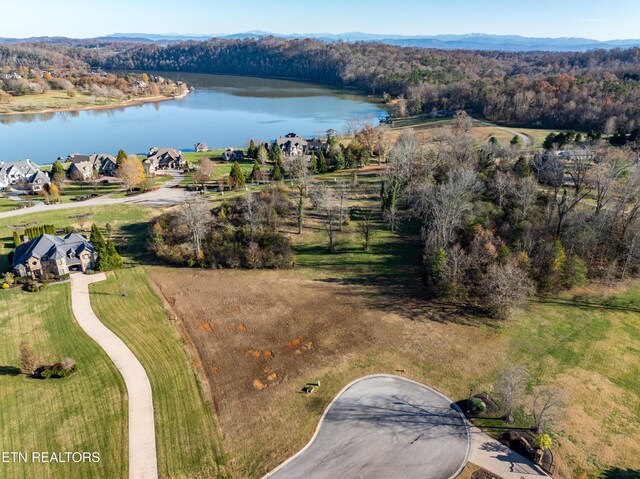 3641 Lashbrooke Way, Louisville, TN 37777 - photo 9