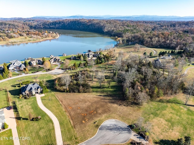 3641 Lashbrooke Way, Louisville, TN 37777 - photo 10