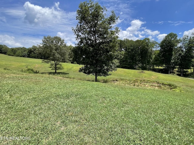 535 Belcher Gap Rd, Madisonville, TN 37354 - photo 49