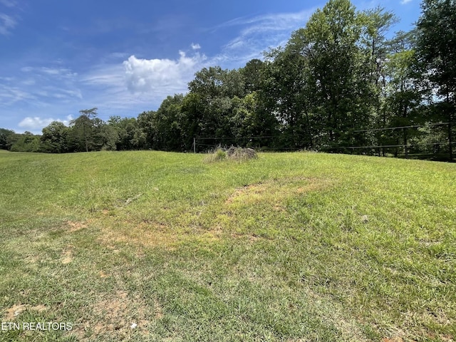 535 Belcher Gap Rd, Madisonville, TN 37354 - photo 52