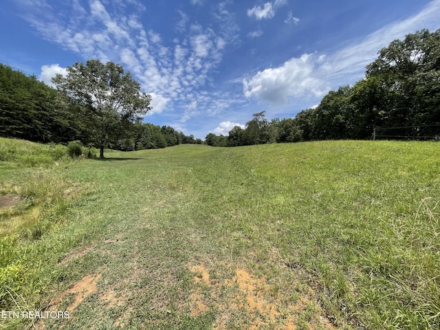535 Belcher Gap Rd, Madisonville, TN 37354 - photo 51