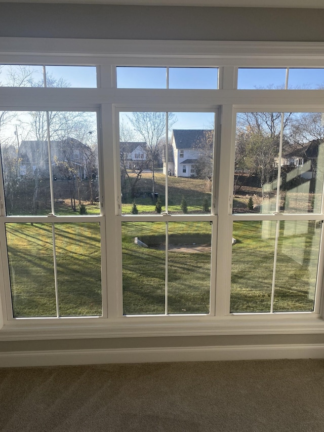 detailed view of a residential view and carpet floors