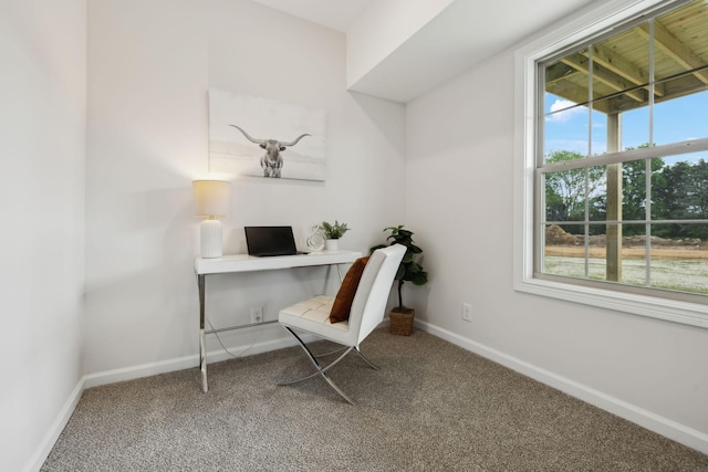 1543 Fredrick Dr, Clarksville, TN 37042 - carpeted office featuring baseboards