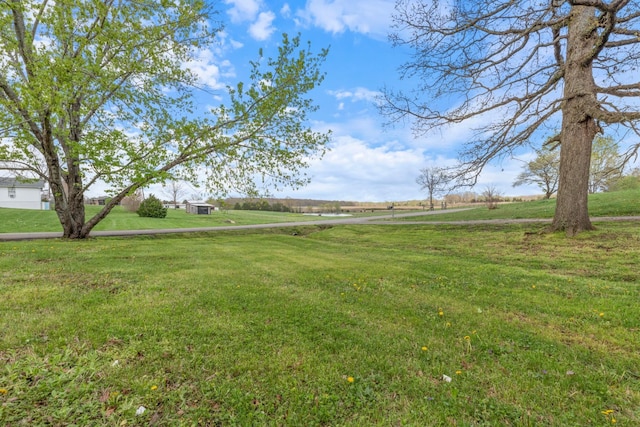400 Log Wall Rd, Dickson, TN 37055 - view of green lawn