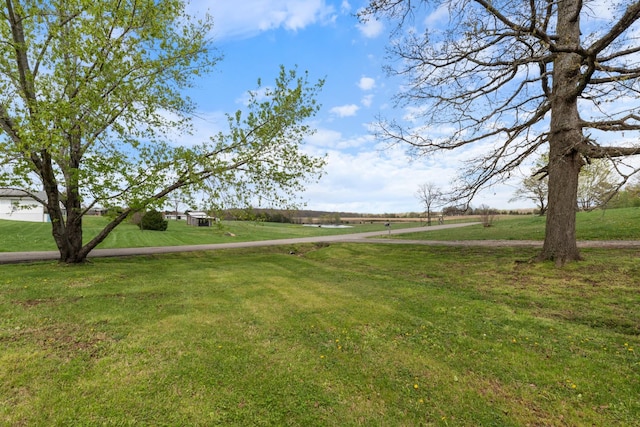 400 Log Wall Rd, Dickson, TN 37055 - view of grassy yard