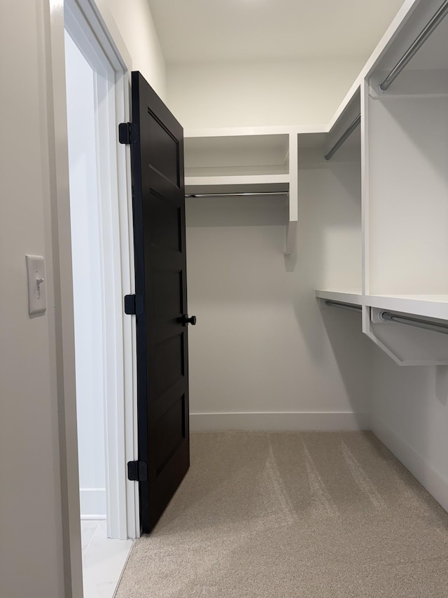 spacious closet featuring carpet floors