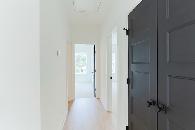 127 Cleveland St, Nashville, TN 37207 - photo 10