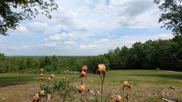 460 Mate Allen Rd, Gainesboro, TN 38562 - view of property's community with a forest view and a lawn