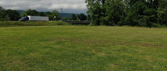 107 E Jackson Ave, Spring City, TN 37381