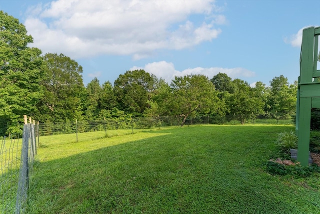 3337 Tarsus Rd, Palmyra, TN 37142 - view of yard