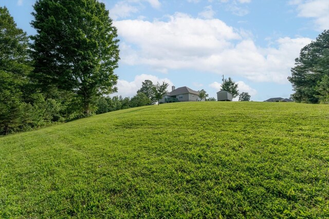 3337 Tarsus Rd, Palmyra, TN 37142 - view of grassy yard