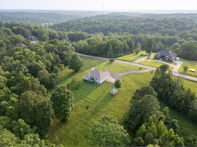 3337 Tarsus Rd, Palmyra, TN 37142 - aerial view of sparsely populated area with a forest